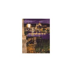 Набір для розпису по номерах. Міський пейзаж "Магічні барви Будапешта" 40*50см